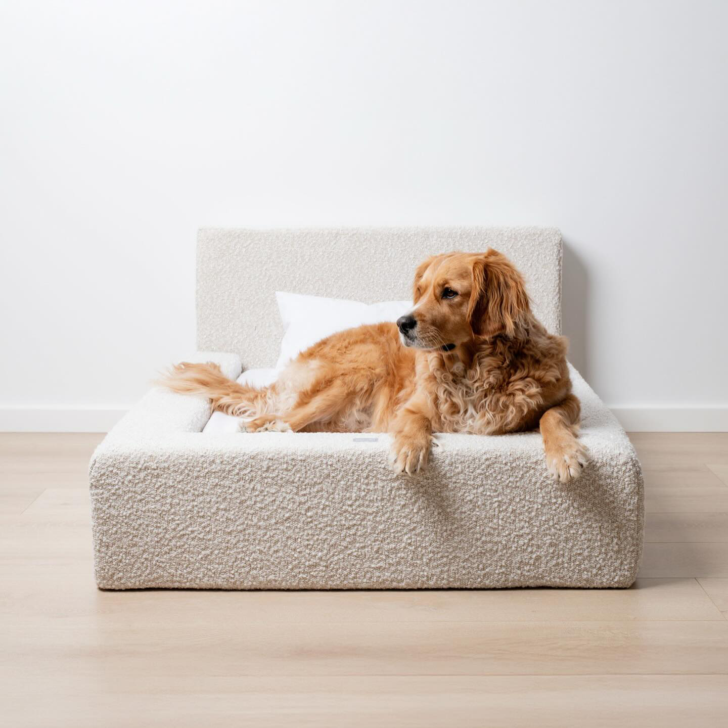 Plush Haven Dog Bed