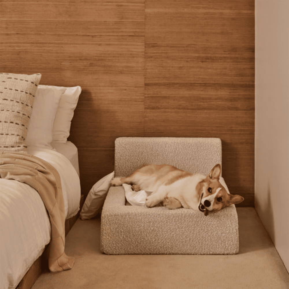 Plush Haven Dog Bed