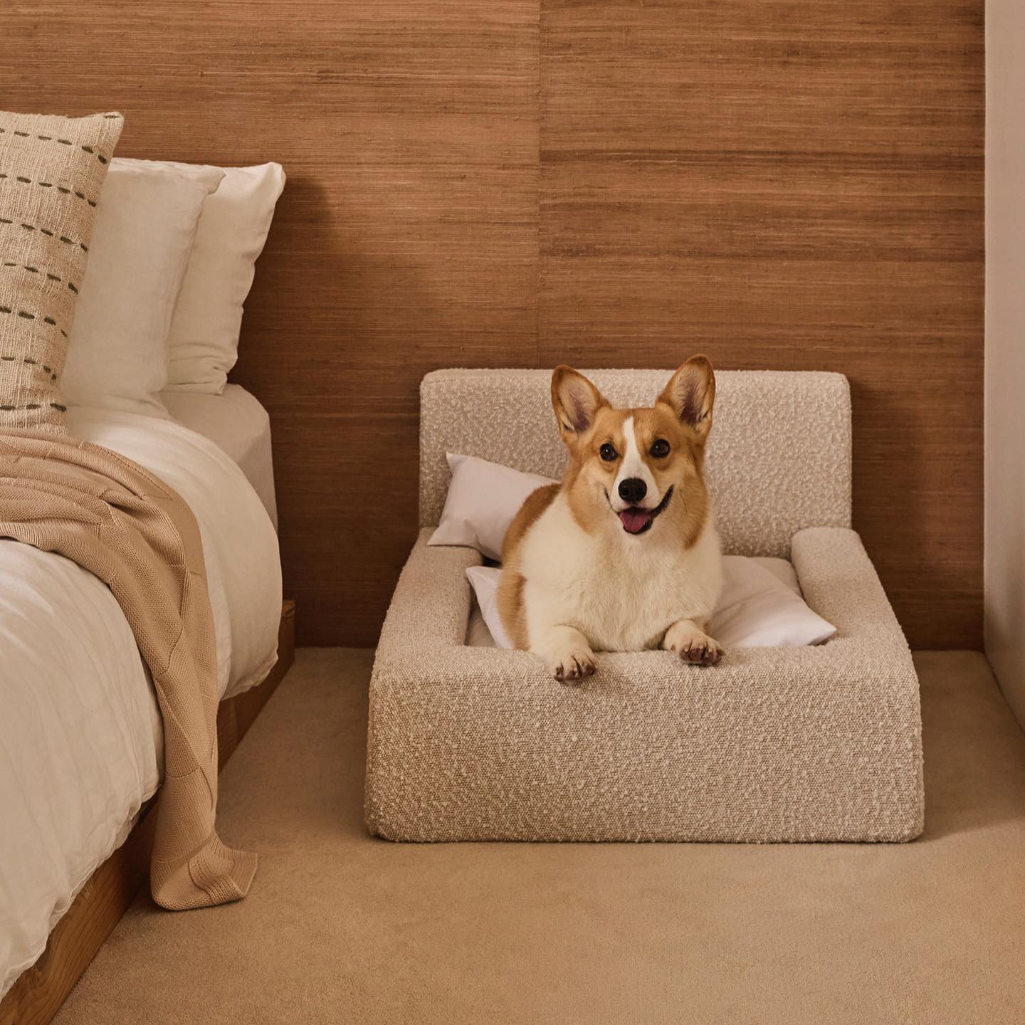 Plush Haven Dog Bed