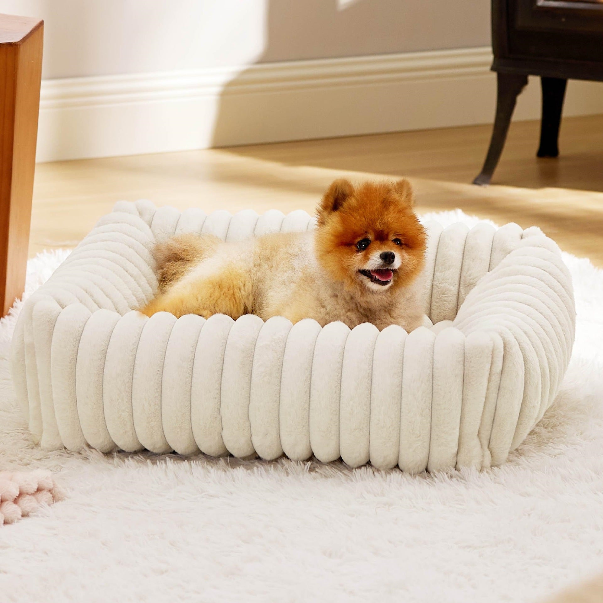 CozyPaw Bed