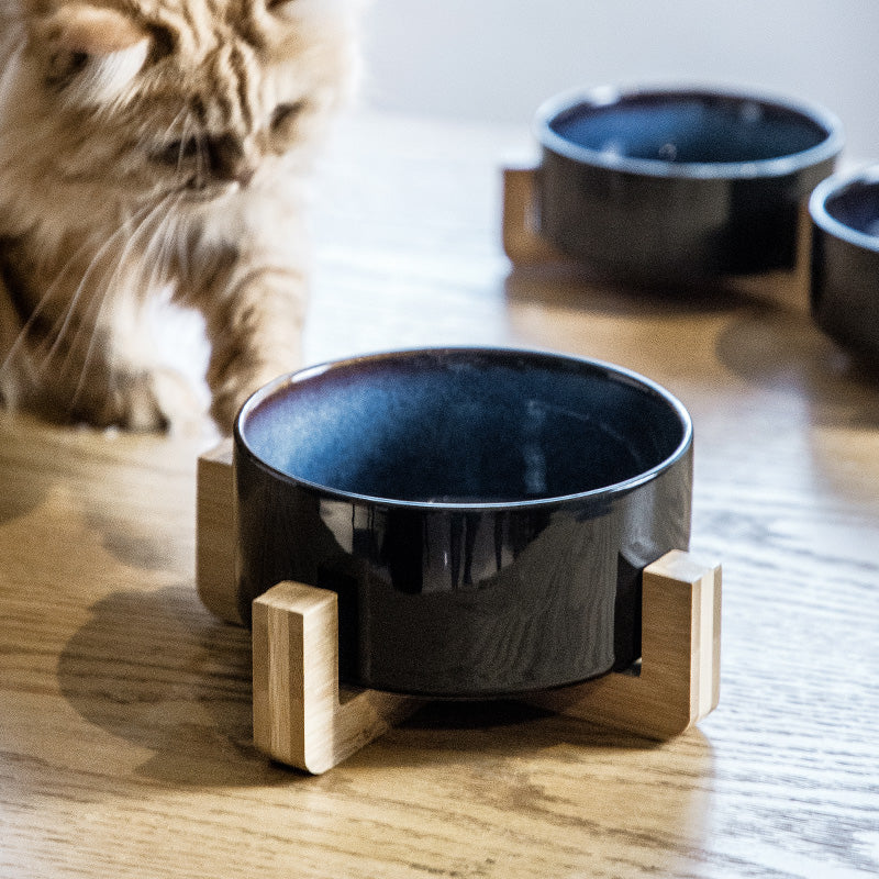 LunaPaw Starry Bowl